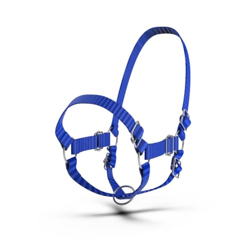 HADZAM Adjustable Nylon Cow Halter | Calf Halter one Halter for (1 Year to Full Size) Easy Adjustable Straps elimates the Need of Ill-Fitting Cattle Halter - color: BLUE