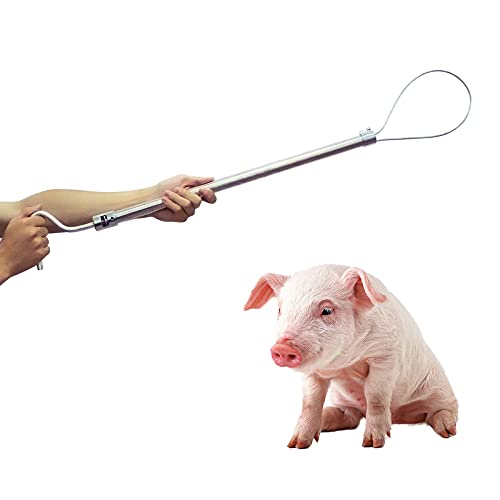 nomal Heavy Duty Hog Catcher Snare Stainless Steel Pig Holder Pig Swine Catcher Pole Animal Catch Pole Catcher Tool