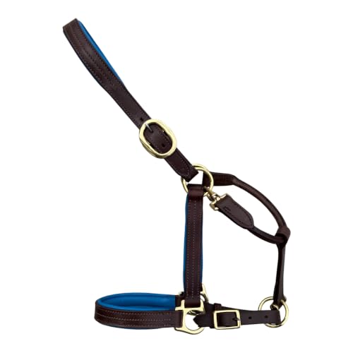 Leaders Premium Padded Leather Horse Halter - Exclusive Pre-Oiled Aniline Leather with Lacquered Solid Brass Hardware & Machined Structural Rings - size: Brown Horse Size/Royal Blue Padding + Name Plate
