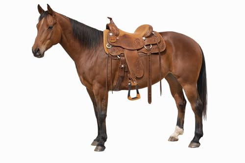 CHALLENGER Horse 4-3/4" Western Saddle Barrel Racing Lightweight Aluminium Stirrups 5181 - color: Black