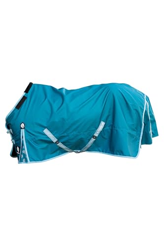 Equinavia Arktis Reg. Neck Lightweight Turnout Blanket 100g - Deep Green - 66 in - color: Deep Green, size: 66 in