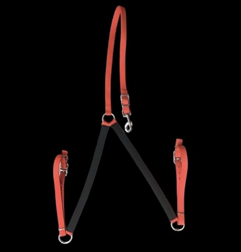 Majestic Ally Nylon Padded Equestrian Browband Headstall, Reins & BreastCollar Set for Horse- Full - color: Red