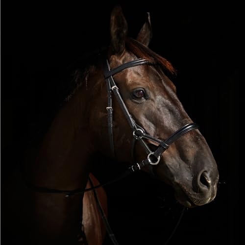 HORZE Denver Soft Leather English Side Pull Bitless Bridle for Horses | Web Reins Included - size: Pony