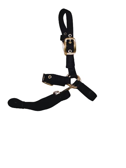 Durable Nylon Sheep Halter w/Snap Lead - color: Black
