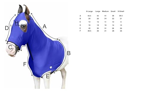 Majestic Ally Stretch Horse Hood with Zipper, Small, Black - color: Black, size: Small