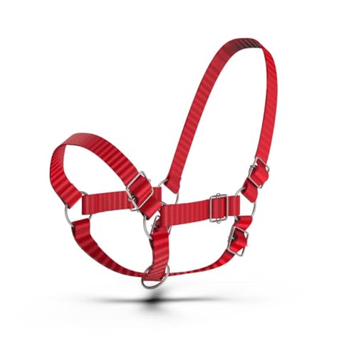 HADZAM Adjustable Nylon Cow Halter | Calf Halter one Halter for (1 Year to Full Size) Easy Adjustable Straps elimates the Need of Ill-Fitting Cattle Halter - color: RED