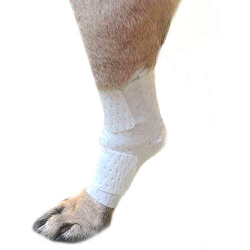 PawFlex Joint and large area wound bandages for dogs, cats and other pets. Great for leg joint sprains and tail injuries! Non adhesive, breathable non-slip disposable washable.Value 10 pack (XX-Small) - size: 2XS 10pk