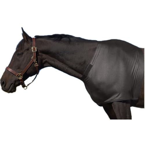Equiessentials Stretch Shoulder Guard XL Black