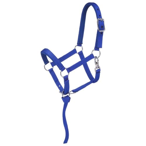 Tough 1 Nylon Padded Miniature Halter - color: Royal Blue, size: Large