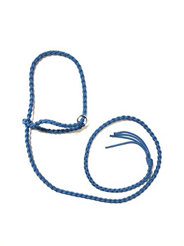 goat halter and lead Caribbean blue sheep halter small livestock halter