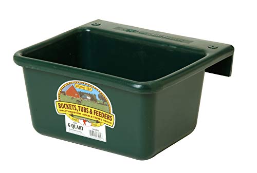 Little Giant® Plastic Mini Feeder | Fence Feeder | Goat Feeder | Durable & Mountable Bucket for Livestock | Made in USA | 6 Quart | Green