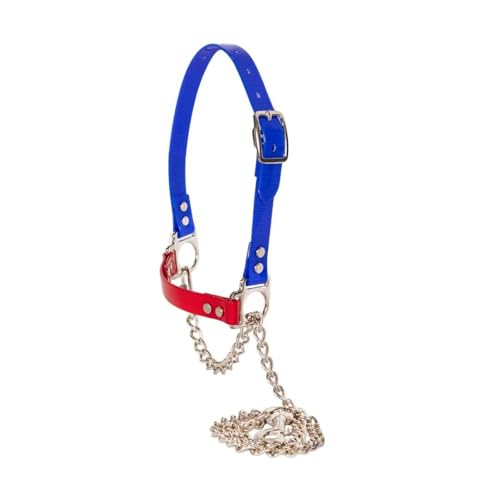 SULLIVAN'S Next Level Sheep & Goat Halter (Blue/Red) - color: Blue/Red