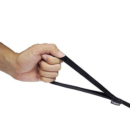 Strong Durable Nylon 10ft Long Dog Training Leash, Traction Rope, 1 Inch Wide, for Small and Medium Dog (Black, 10 Feet) - color: Black, size: 10 Feet