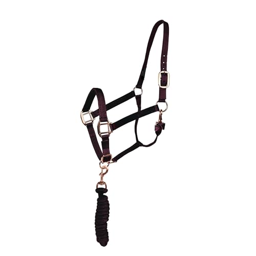 Majestic Ally Halter with Lead Rope for Horses–Adjustable Chin and Crown–Rolled Throat Latch with Replaceable Snap–Padded Noseband–Heavy Duty Rose Gold Finish Hardware - color: Black