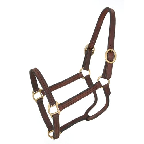 Royal King Leather Track Halter - size: Yearling