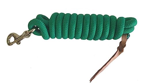 Formay Cowboy Horse Lead Rope 10' x 5/8" Leather Popper Nylon Brass Bolt Snap Green