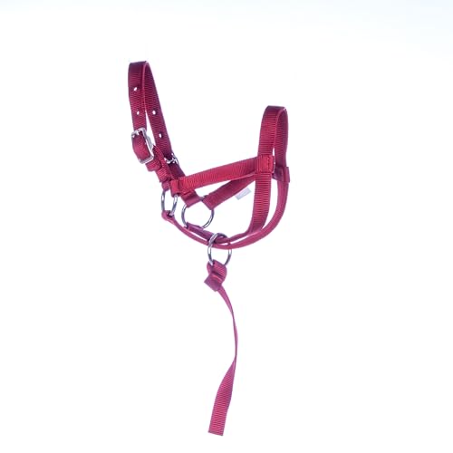 Jeffers Nylon Llama Halter with 10" Catch Strap, Red - Adjustable Figure 8 Livestock Halter, 3/4" Double Layered Webbing Farm Animal Lead Training Halter Equestrian Tack - Adult - color: Red