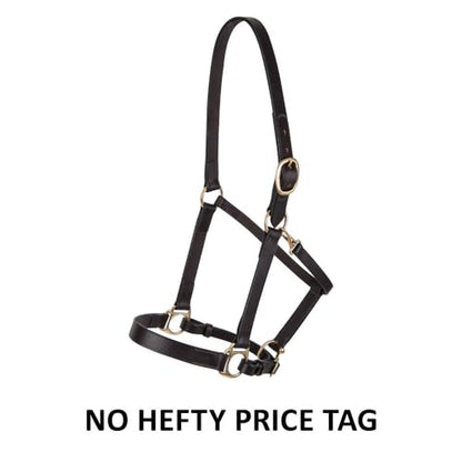 Dura-Tech Premier Lancaster Leather Halter for Horses | Simple Economy Leather Halter with Adjustable Fit & Solid Brass Hardware - size: Cob