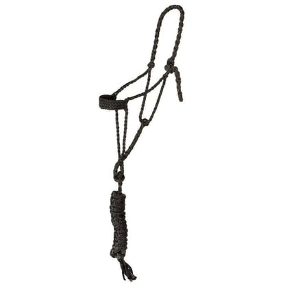 Tough 1 Premium Mule Tape Halter w.Lead - color: Turquoise