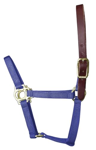 Foal & Yearling Premium Breakaway Nylon Halter with Leather Crown, Yearling, Blue