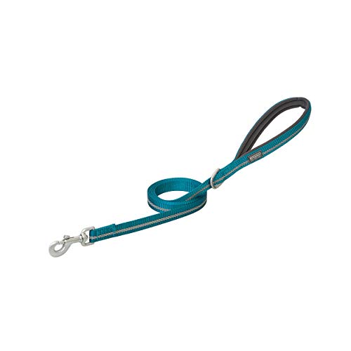 Terrain D.O.G. Reflective Neoprene Lined Dog Leash - color: Blue Bay, size: 4-feet L x 3/4-inch W