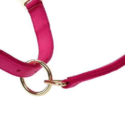 Shires ARMA Adjustable Nylon Halter - color: Raspberry, size: Full