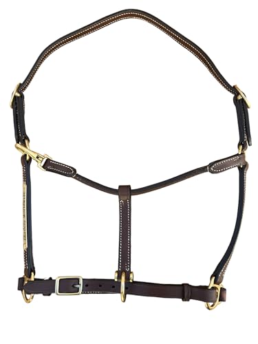 Leaders 3/4" Leather Halter for Horses with Customized Engraved Name Plate Brown Leather with Solid Brass Hardware - size: Pony