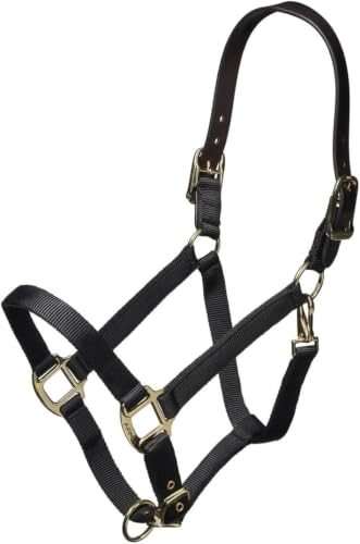 ARMA Shires Nylon Halter with Leather Head Strap - color: Black, size: Pony