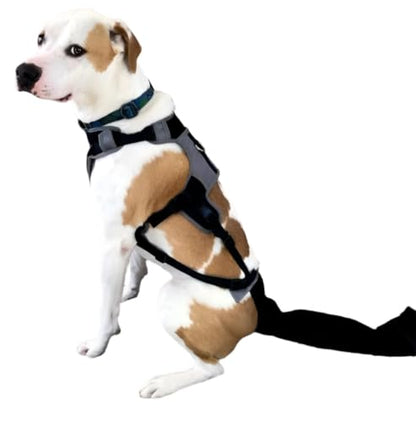 Tail Guard & Harness Set - Veterinary Dog Tail Protector & Injury Wrap, Size Medium - size: M