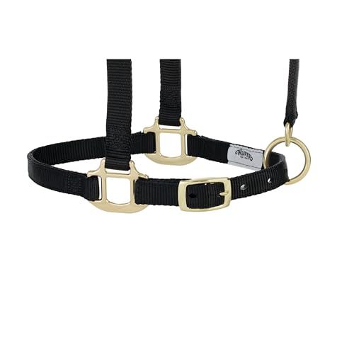 Weaver Equine Breakaway Horse Halter, Supple Leather Crown, Adjustable Chin & Throat Snap Halters for Horses, Equine Tack,Pony Size, Black