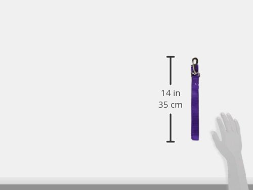 Hamilton 6 ft Nylon Dog Leash, Medium/Large 1" x 6', Purple - color: Purple, size: 1" x 6'
