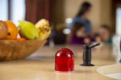 RESCUE! Fruit Fly Trap Bait Refill - 30 Day Supply