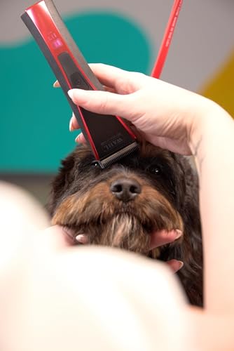 Wahl Pro Animal Bravura 2 Cordless Pet Clipper, Brilliant Rose | Rechargeable 2-Speed Cordless Clipper, 5-in-1 Diamond Pro Blade with DLC Coating, Textured Grip for Comfort