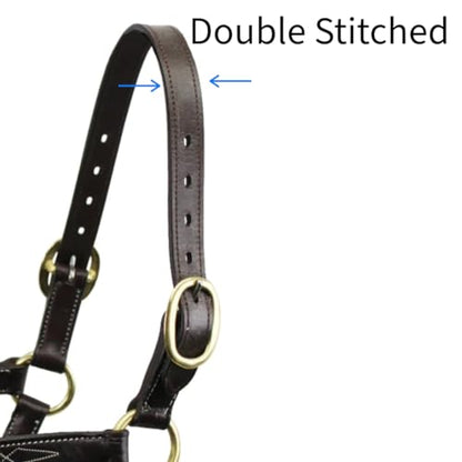 Tahoe Tack Double Stitched Leather Breakaway Halter Replacement Crown – Your Choice of 21" or 25" Length - color: Brown, size: 21"
