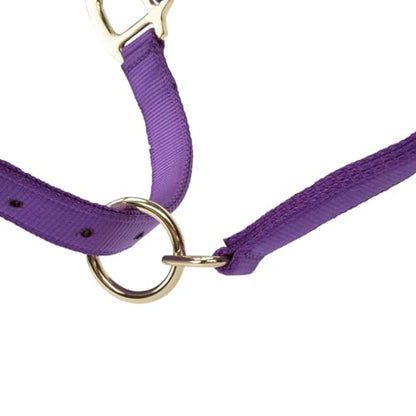 Shires ARMA Adjustable Nylon Halter - color: Purple, size: Full