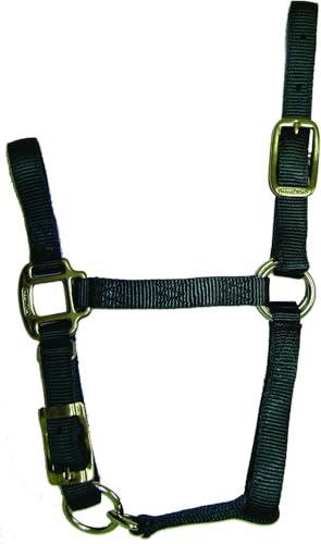 Hamilton Quality Adjustable Horse Halter, 100-200 lbs, Dark Green - color: Dark Green, size: Pony, 100-200lbs