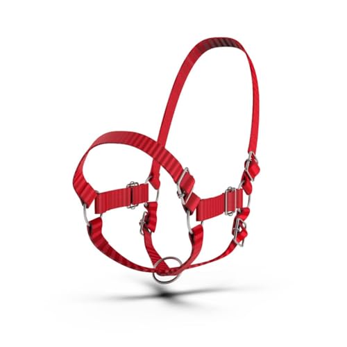 HADZAM Adjustable Nylon Cow Halter | Calf Halter one Halter for (1 Year to Full Size) Easy Adjustable Straps elimates the Need of Ill-Fitting Cattle Halter - color: RED