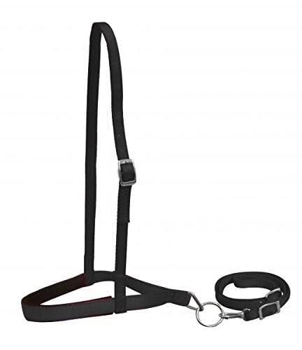 Showman Premium Nylon Noseband Tie Down w/Strap - color: Black