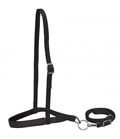 Showman Premium Nylon Noseband Tie Down w/Strap - color: Black