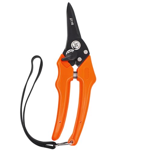Zenport Z116 Hoof and Floral Trimming Shear with Twin-Blade, 7.5-Inch, for Goat, Sheep, Alpaca and More, Orange - 3 Pack