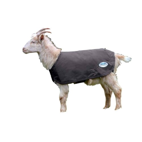 WeatherBeeta Deluxe Goat Coat, Grey, 2extra Large - color: Grey, size: XXL