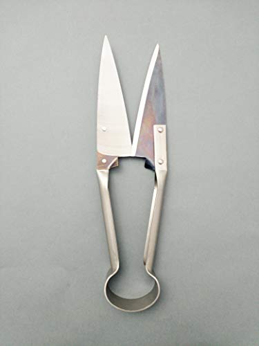 DUE BUOI Single Bow Straight Sheep Shears DB 160/32-5.50" Blade Length - 12.60" Total Length