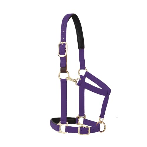 Weaver Equine Breakaway Horse Halter, Comfort Foam Padding, Adjustable Chin & Throat Snap Halters for Horses, Equine Tack,Average Size - color: Purple