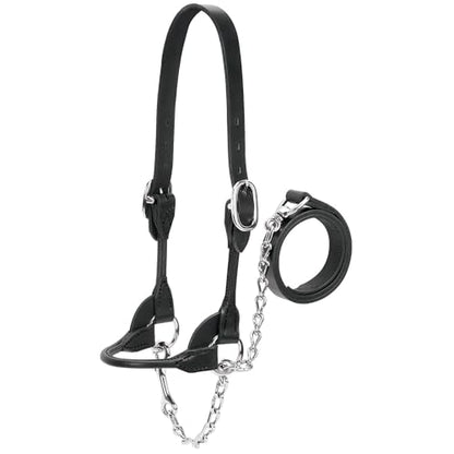 Weaver Leather Dairy/Beef Rounded Show Halter, Black, Medium - color: Black, size: Medium