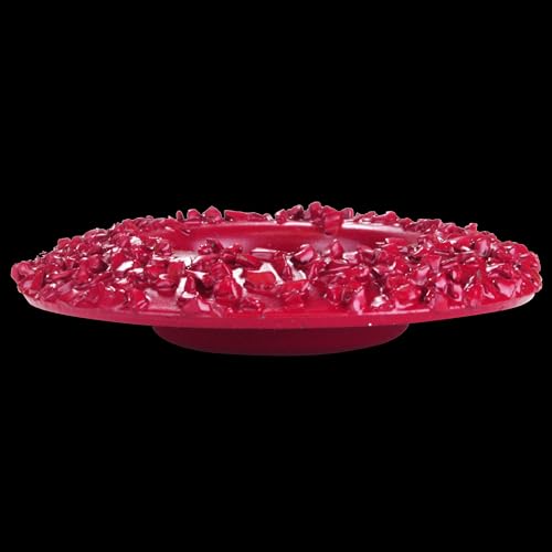 Red Coarse Grit Disc, 2" Dome Power Rasp