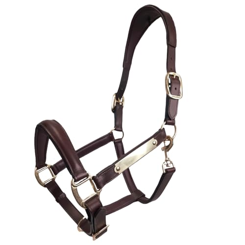 All Sides Padded Curved Design Horse Leather Halter with Brass Name Plate - color: Havana, size: Oversize/Warmblood
