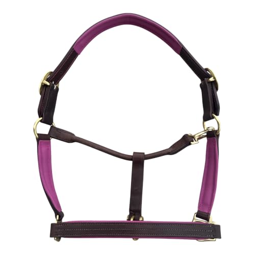 Leaders Premium Padded Leather Horse Halter - Exclusive Pre-Oiled Aniline Leather with Lacquered Solid Brass Hardware & Machined Structural Rings - size: Brown Horse Size/Pink Padding with Nameplate