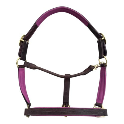 Leaders Premium Padded Leather Horse Halter - Exclusive Pre-Oiled Aniline Leather with Lacquered Solid Brass Hardware & Machined Structural Rings - size: Brown Horse Size/Pink Padding with Nameplate