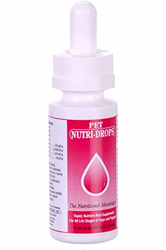 LBH MARKET Emergency Puppy Kitten Feeding Tube Kit – 5FR Kendall Tube, 12mL Syringe & Pet Nutri-Drops for Weak or Fading Puppies | Newborn Whelping Supplies for Breeders