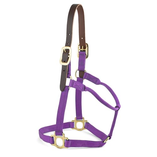 Premium Breakaway Nylon Halter with Leather Crown, Medium, Purple